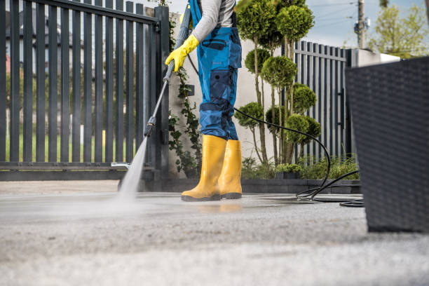 Best Sidewalk Pressure Washing  in Apollo Beach, FL